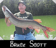 Past Hunter Bruce Scott boated this 39 1/4 &rdquo; musky guided by Darrly Fritz
