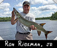 Ron Rickman, jr landed this 38&rdquo; musky guided by Don Ladubec