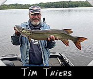 Past Hunter Tim Thiers boated this 34-inch musky guided by Danielson
